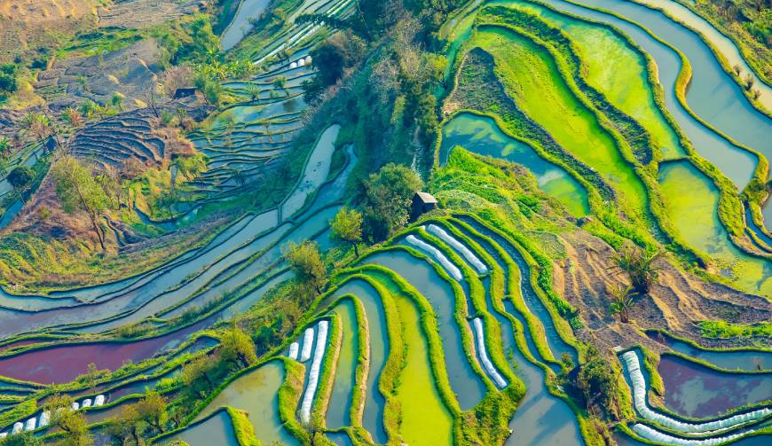 宝妈必备神器：大安区产品视频拍摄轻松育儿好帮手