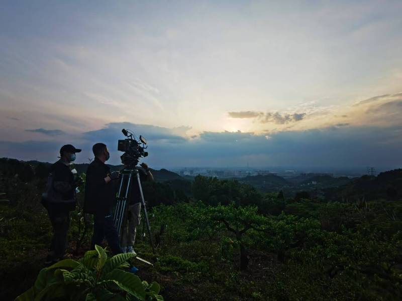 聚焦大安区产品宣传视频拍摄公司，用专业实力铸就品牌传播传奇