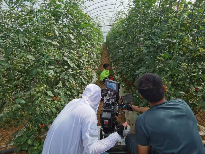 大安区产品宣传视频拍摄公司进阶指南，助力品牌抢占传播高地